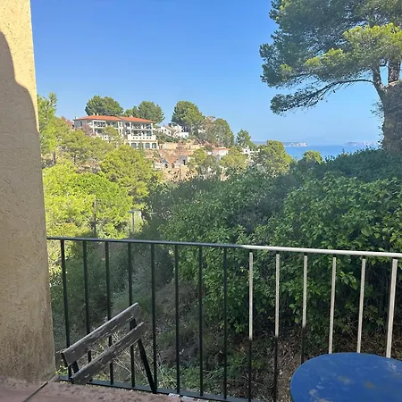 Sa Punta 35 *